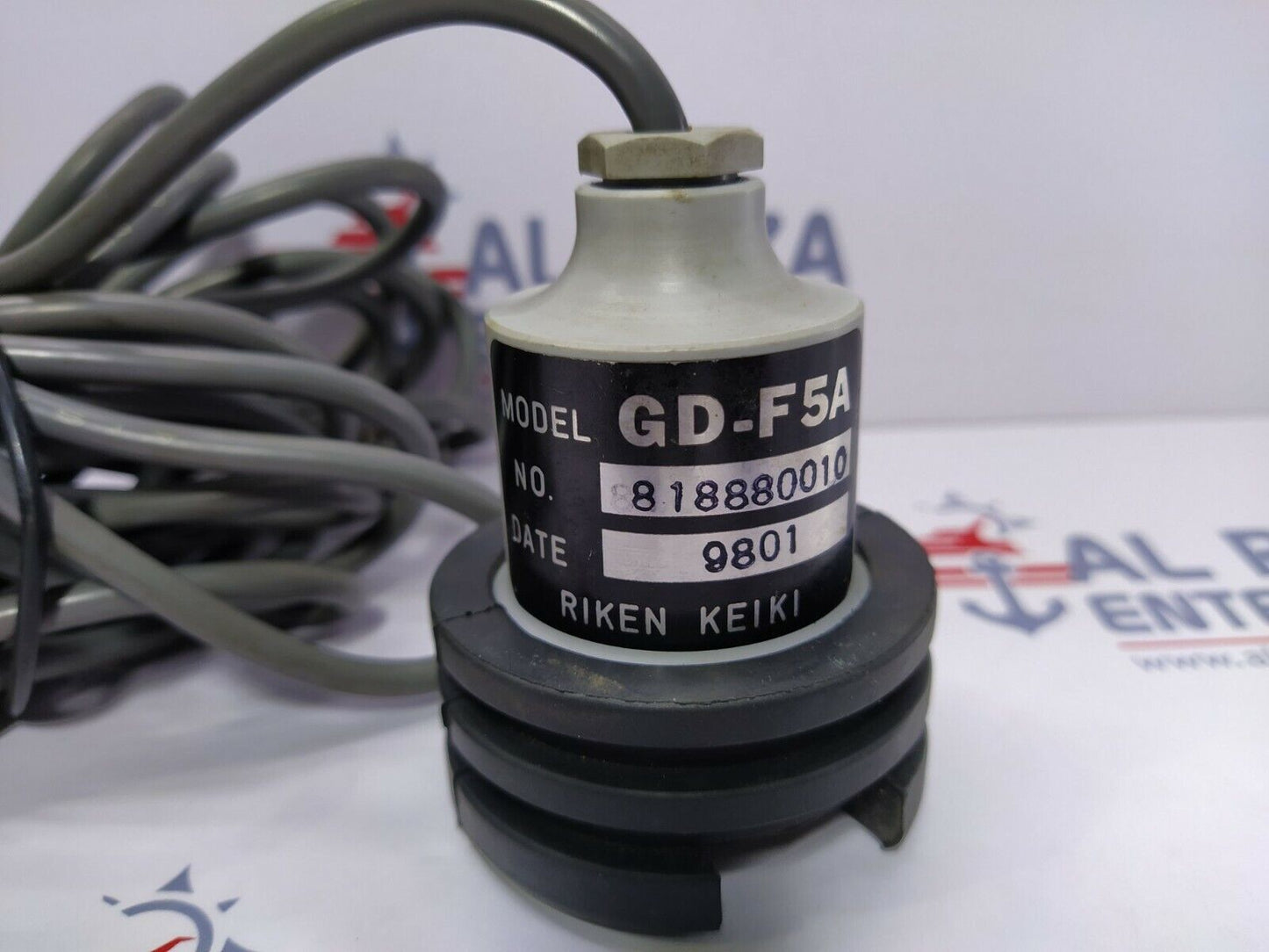 Riken Keiki GD-F5A Gas Detector