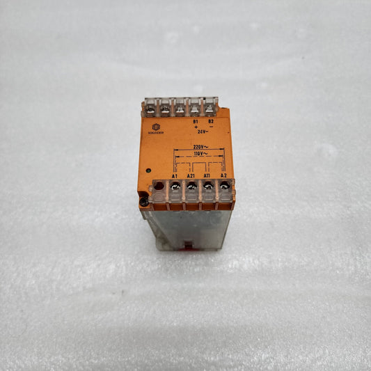SCHLEICHER SN18 110-220VAC/24VDC 21604207