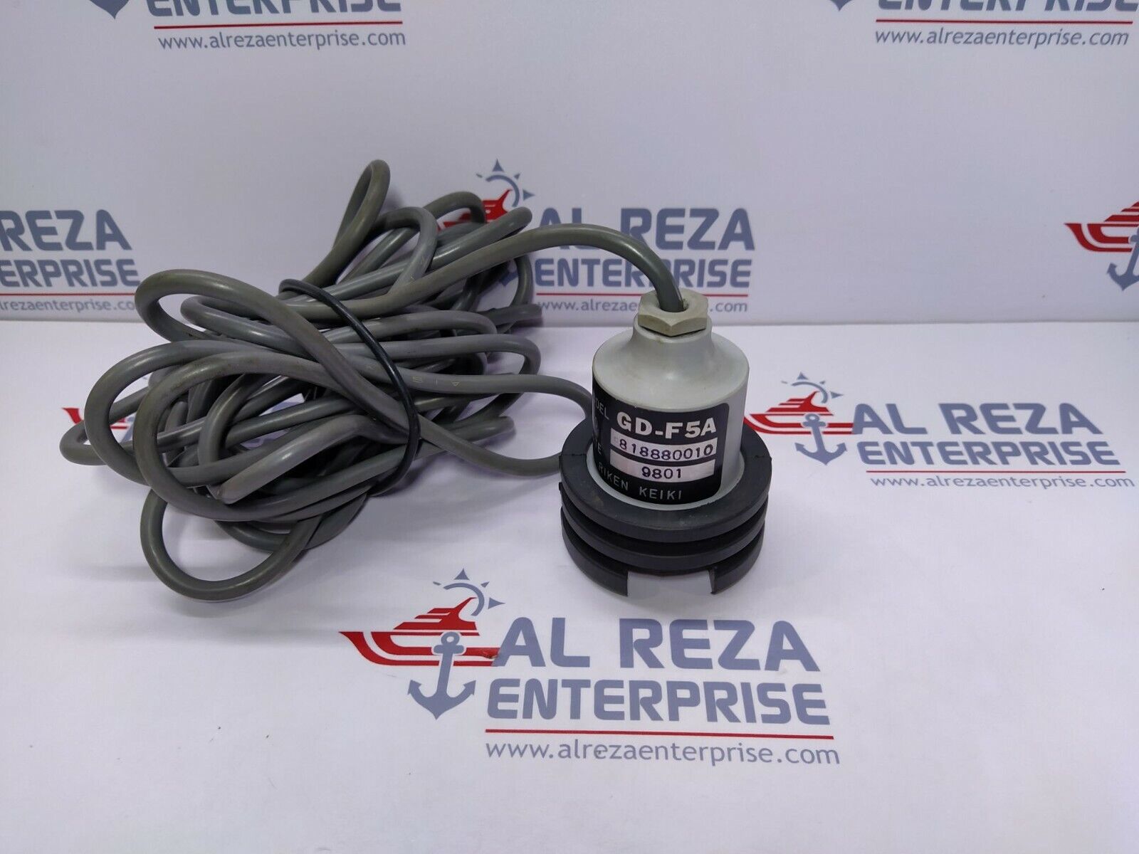 Riken Keiki GD-F5A Gas Detector