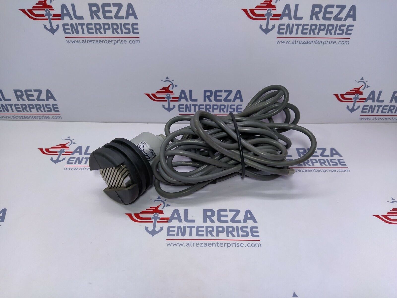 Riken Keiki GD-F5A Gas Detector