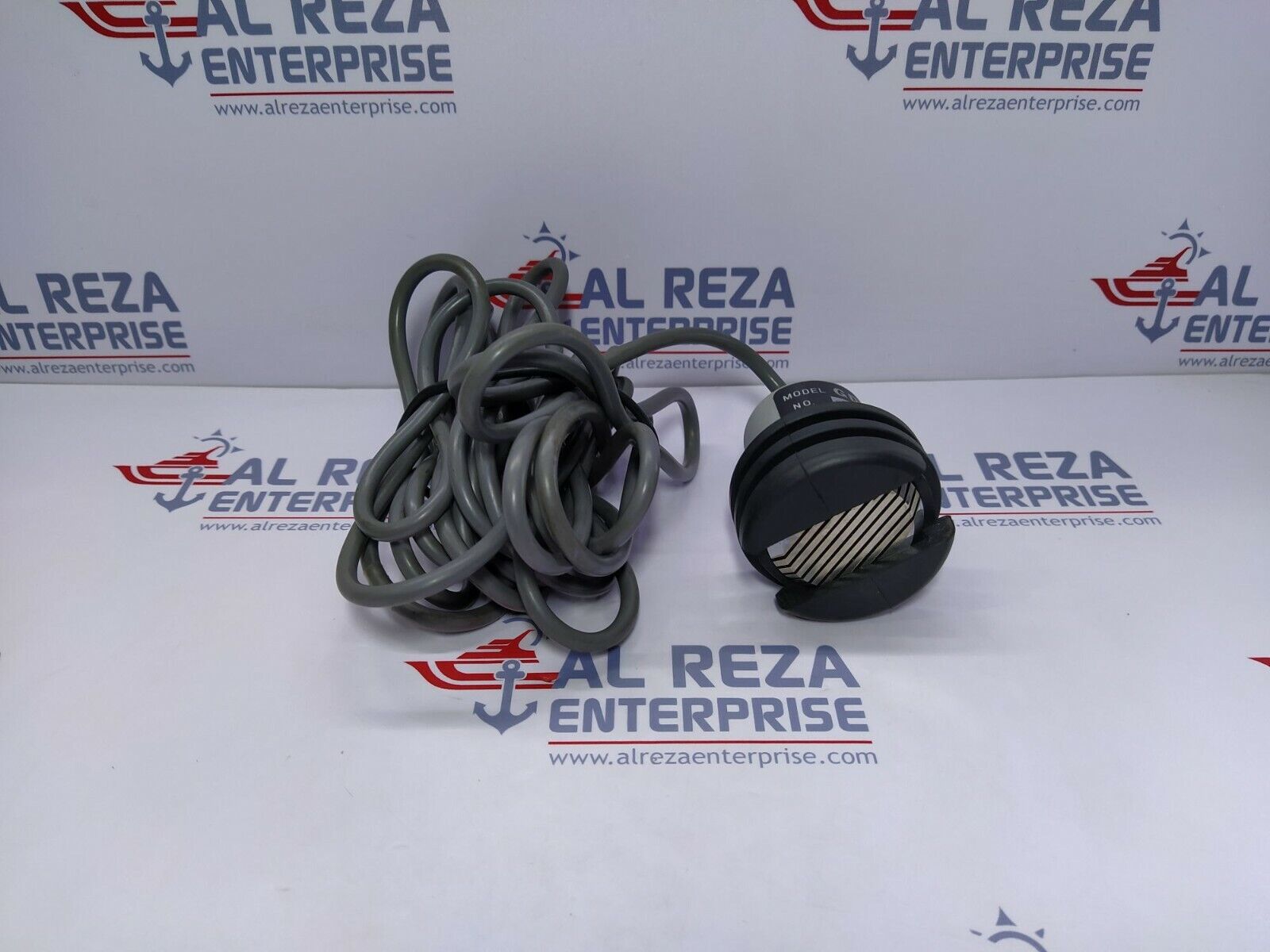 Riken Keiki GD-F5A Gas Detector