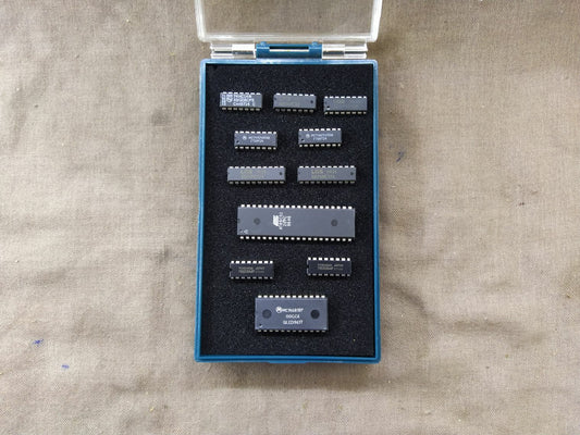 Segyung Electronics Chips LOT OF 11 CHIP